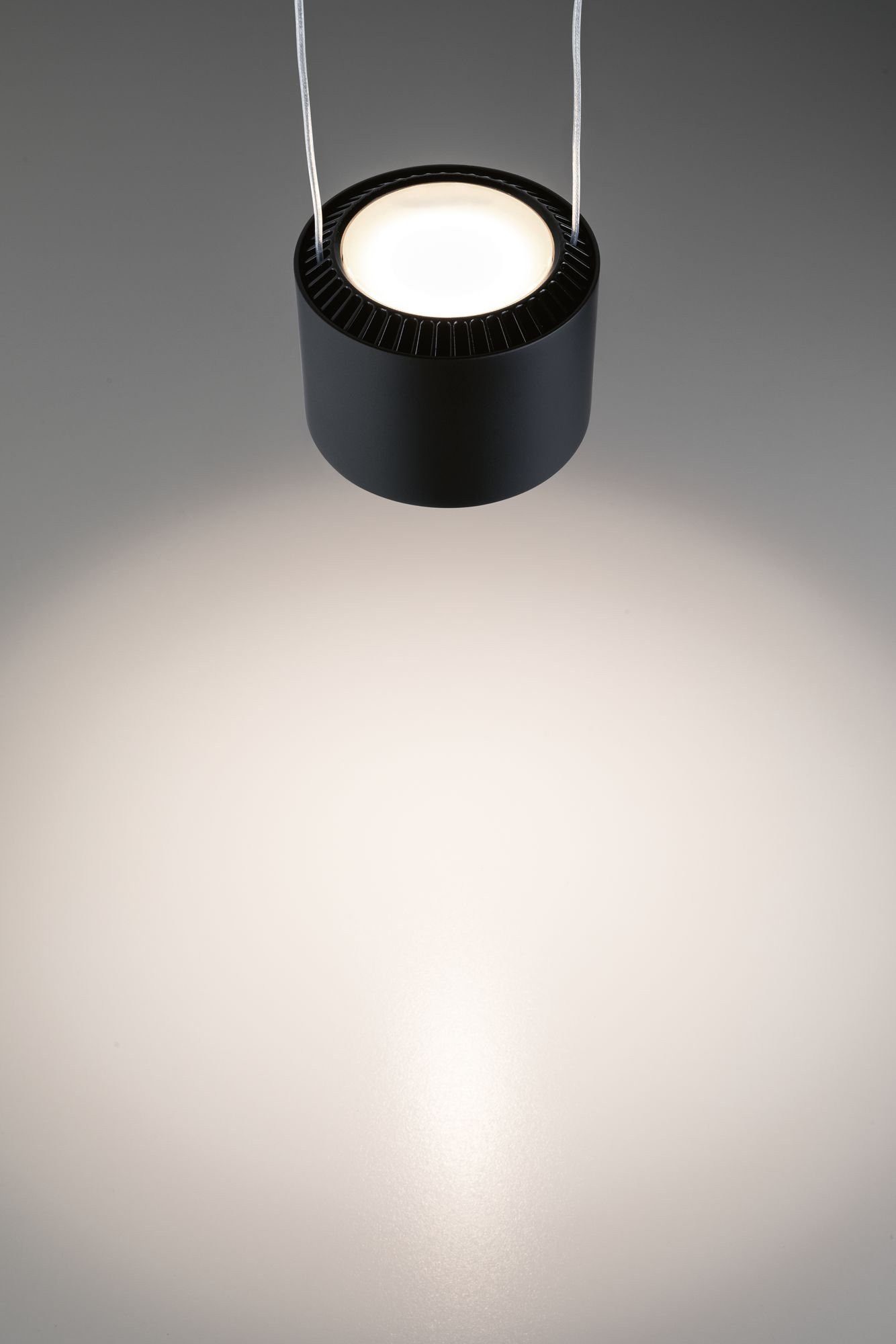 Paulmann Railsysteem-lampen URail Hanglamp Aldan 860lm/460lm 8,5W 2700K dimbaar 230V Wit (1-delig)