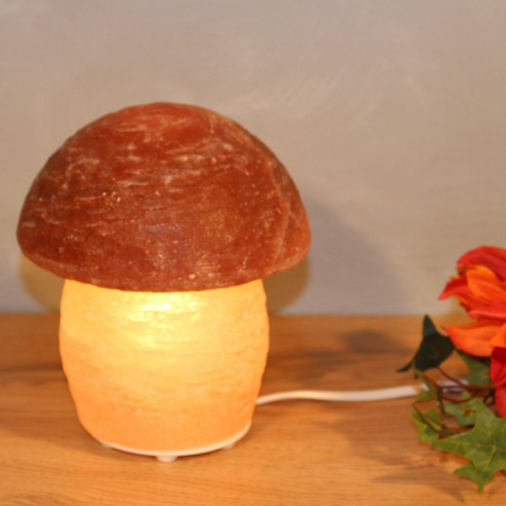 HIMALAYA SALT DREAMS Zoutkristal-tafellamp Paddenstoel Met de hand gemaakt van zoutkristal - iedere steen uniek, H: ca.16 cm (1 stuk)