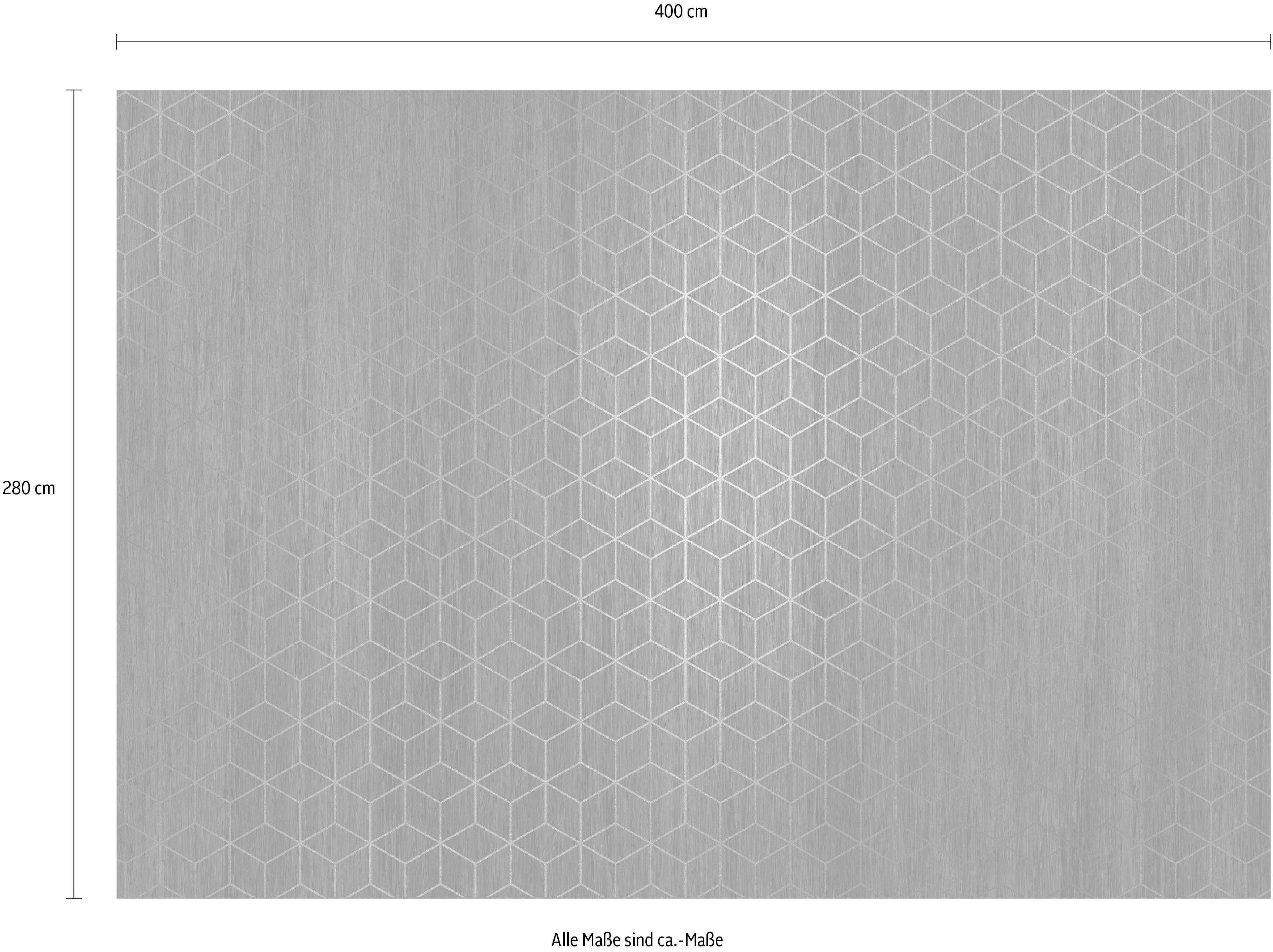 Komar Vliesbehang Mystique 400x280 cm (breedte x hoogte)