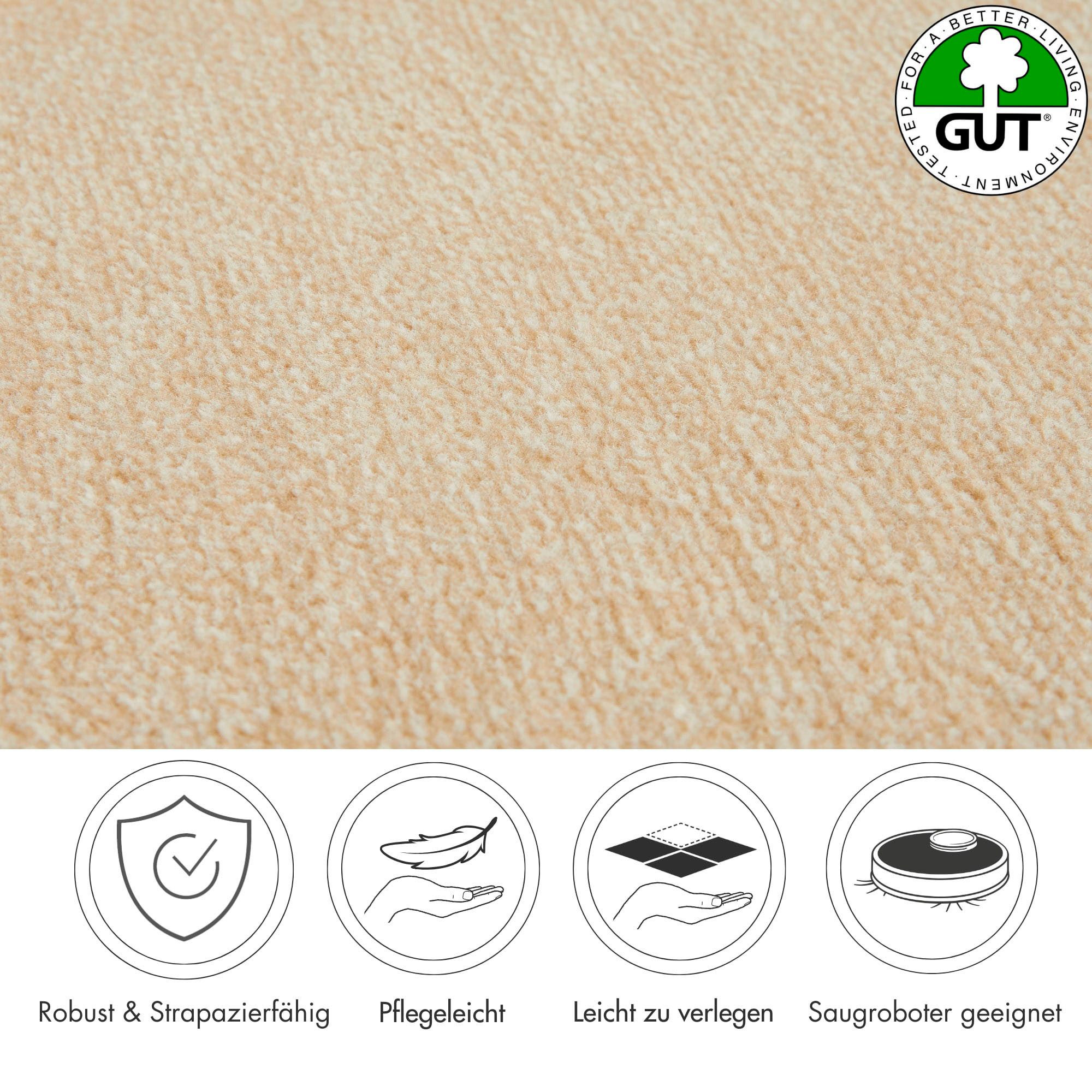 Andiamo Tapijt Catania, velours, Made in Belgium gemêleerd, breedte 400 cm of 500 cm, slijtvast & onderhoudsvriendelijk (1 stuk)