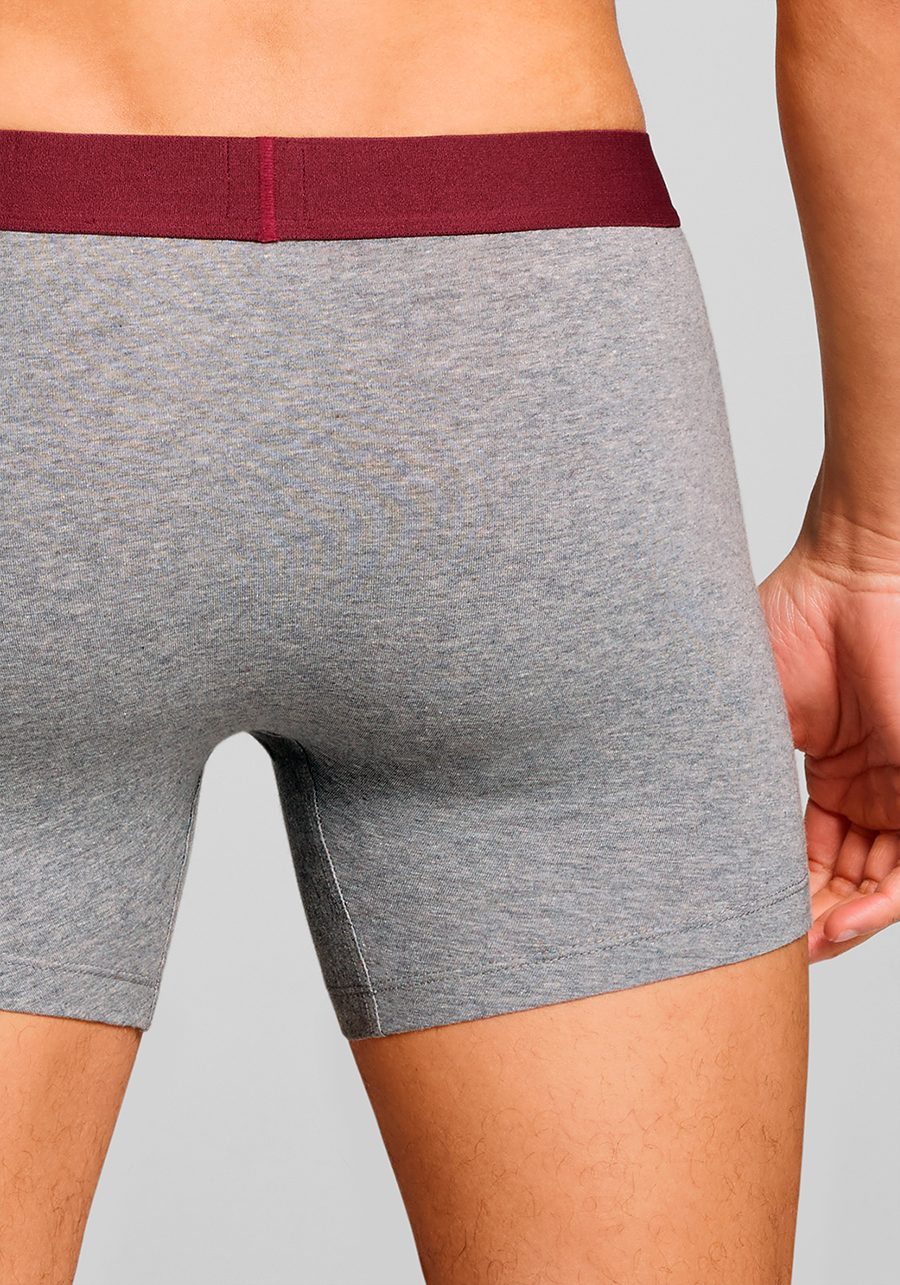 Levi's® Boxershort LEVIS MEN SLD BASC BOXER BRIEF ORG CO 2P (Set van 2)