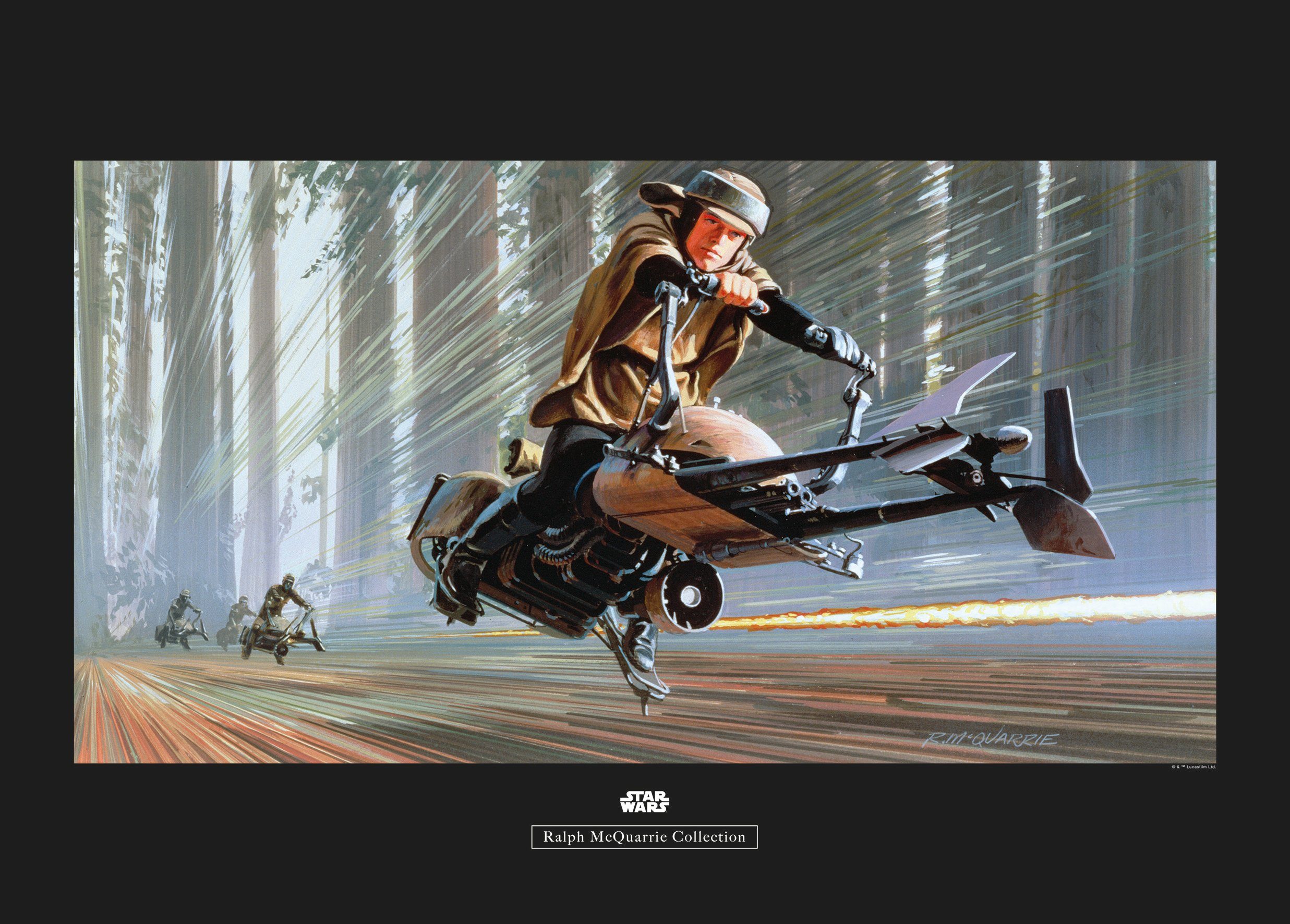 Komar Wanddecoratie Star Wars Classic RMQ Endor speeder Wanddecoratie voor de kinderkamer - zonder lijst (1 stuk) schilderijen maat 70 cm x 50 cm