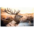 reinders! decoratief paneel edelhert in het bos 118-70 cm bruin