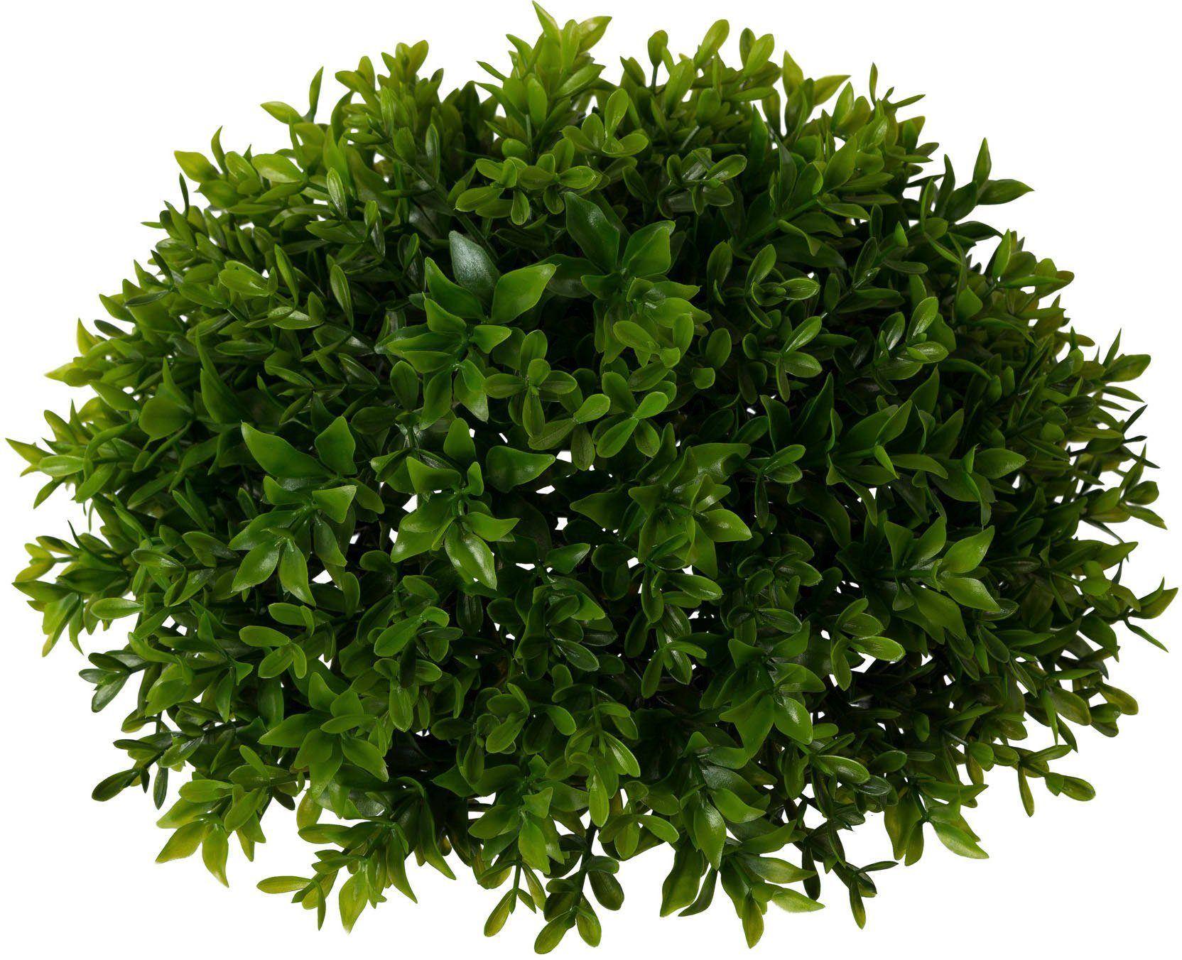 Creativ green Kunstplant Buxus halfrond (1 stuk) kunstplanten groen