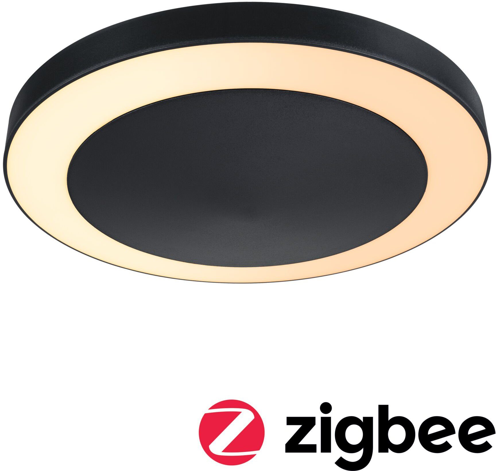 Paulmann Plafondlamp Circula Plafondlamp, nikkel-mat, 22,5 cm, warmwit, plafondverlichting, lamp (1 stuk)