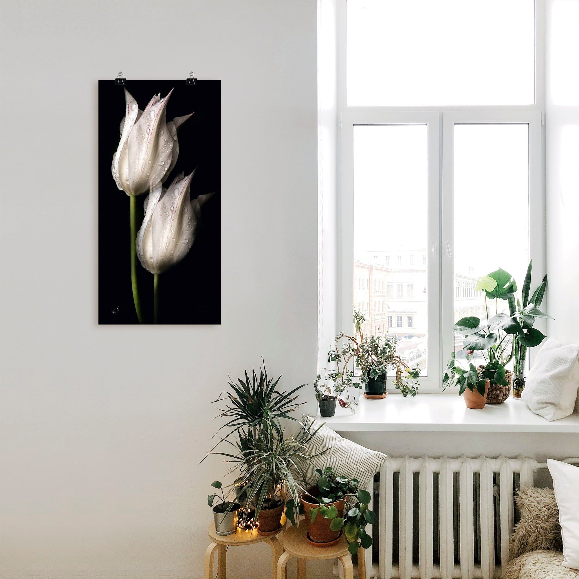 Artland Artprint Witte tulpen in de nacht als artprint van aluminium, artprint voor buiten, artprint op linnen, poster, muursticker