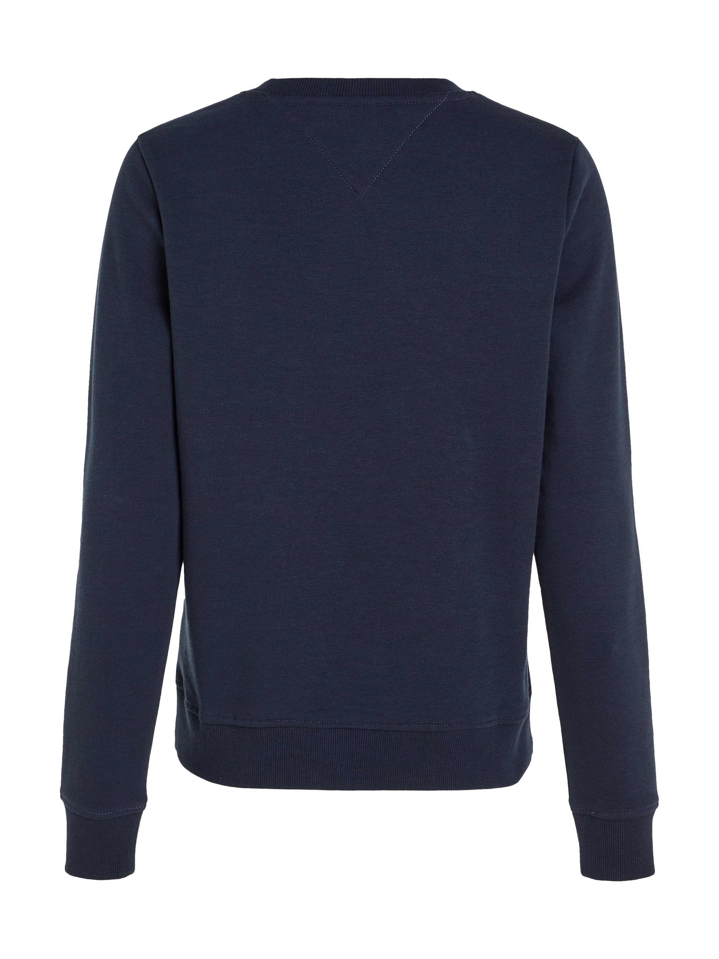 TOMMY JEANS Sweatshirt TJW REG LINEAR CREW EXT