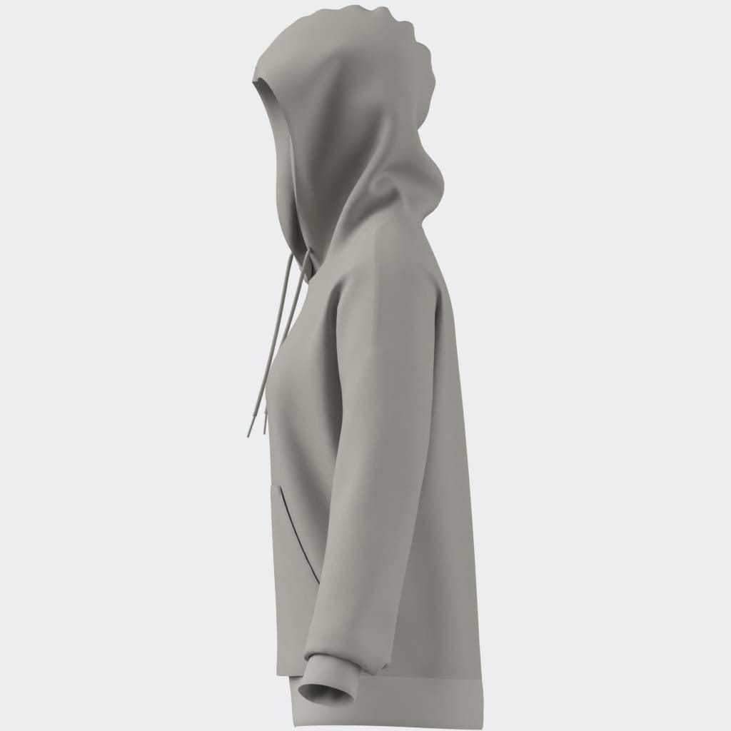 adidas Sportswear Hoodie W LIN FL HD