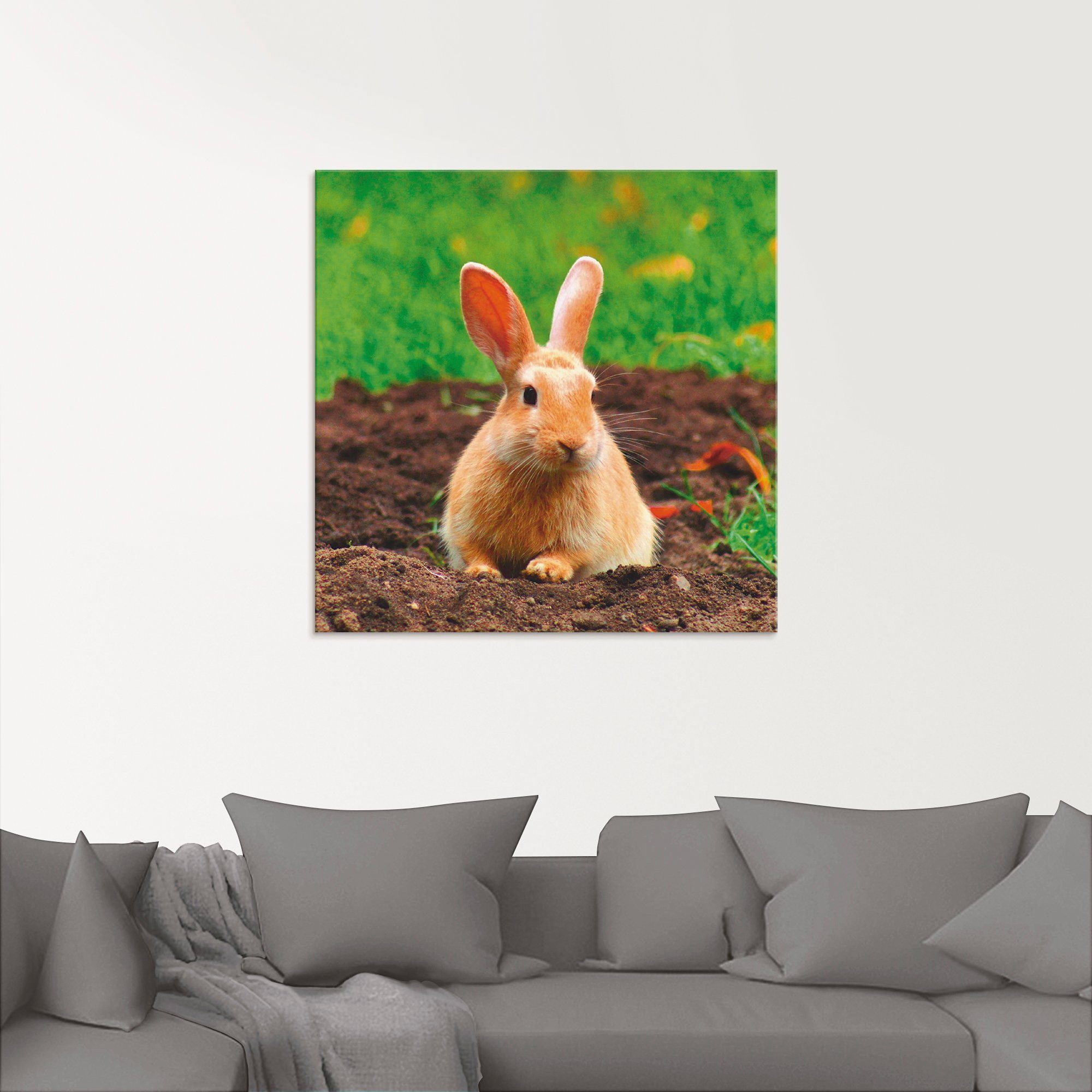Artland Print op glas Gelukkig dwergkonijntje
