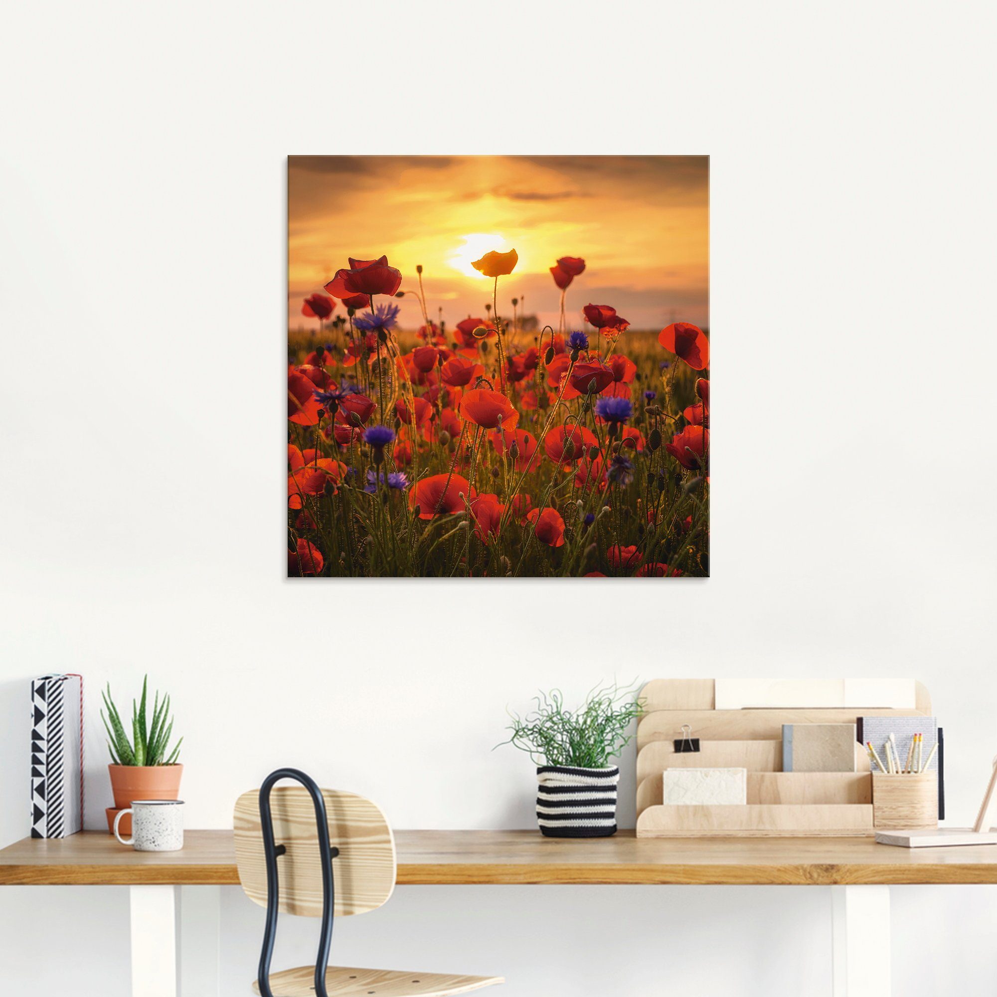 Artland Print op glas Klaprozen in het avondlicht