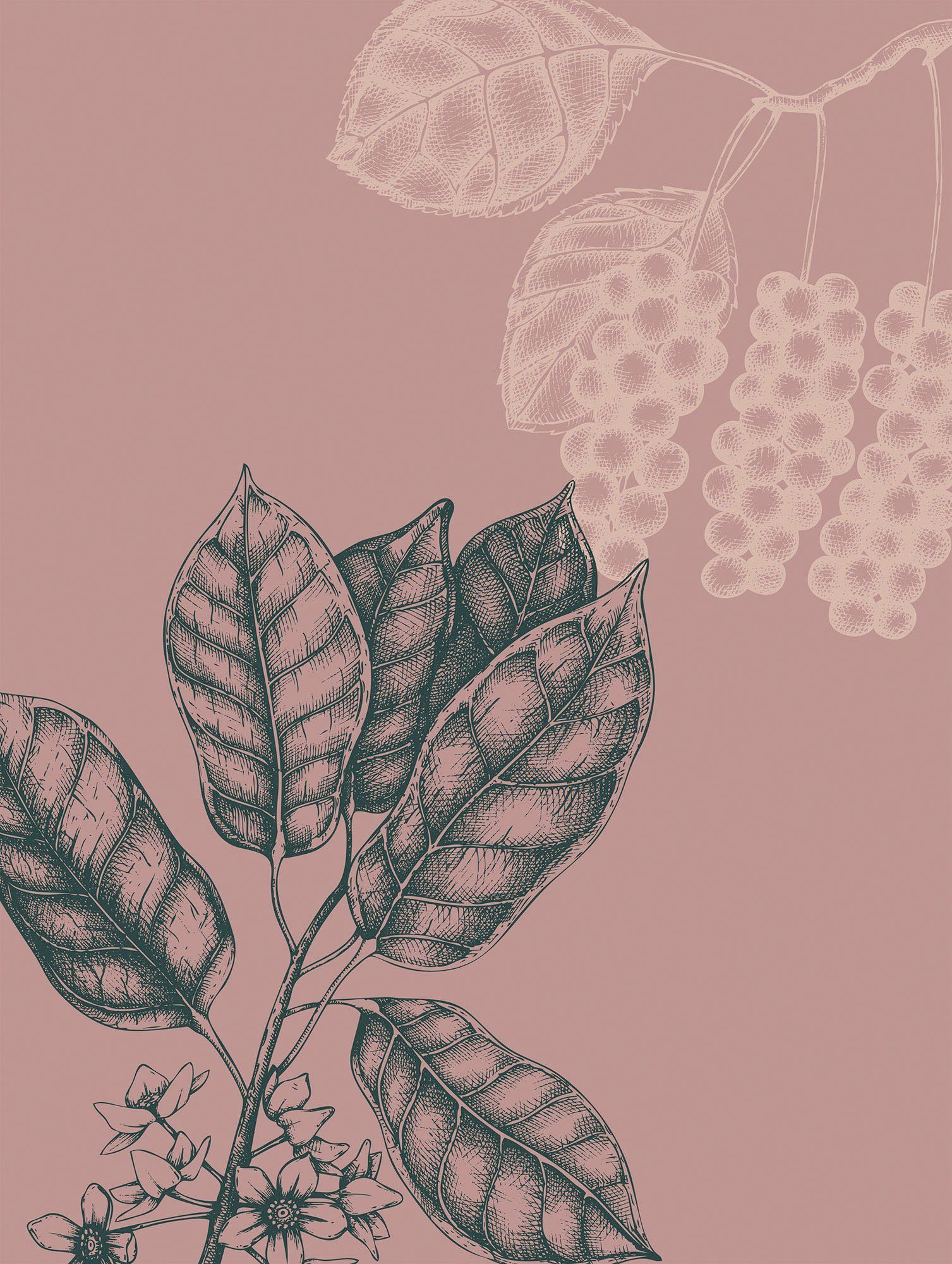 Komar Wanddecoratie Wild berry Wanddecoratie - zonder lijst (1 stuk) foto schilderijen roze