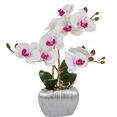 home affaire kunstplant orchidee kunstorchidee, in een pot (1 stuk) wit
