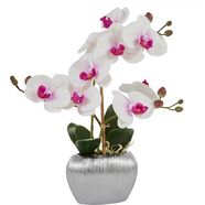 home affaire kunstplant orchidee kunstorchidee, in een pot wit