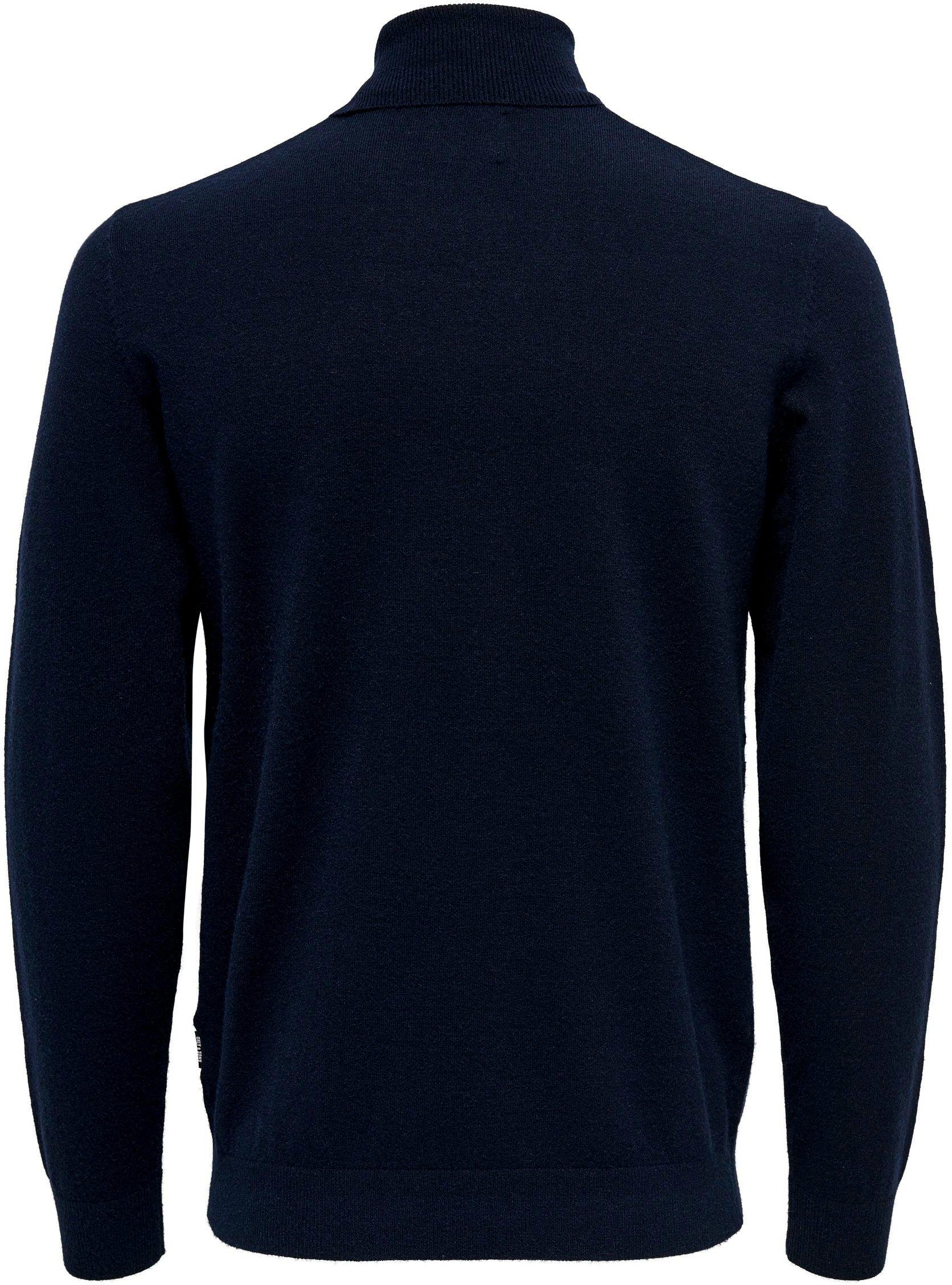 ONLY & SONS Coltrui ONSWYLER LIFE REG ROLL NECK KNIT NOOS