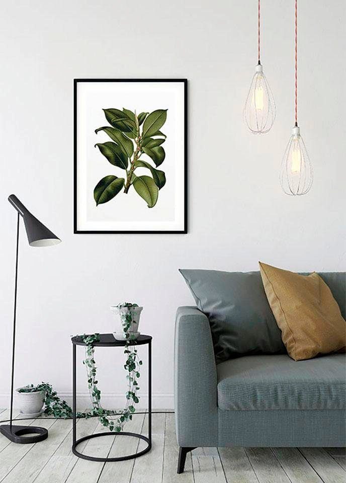 Komar Wanddecoratie Elastica Tree Wanddecoratie - zonder lijst (1 stuk)