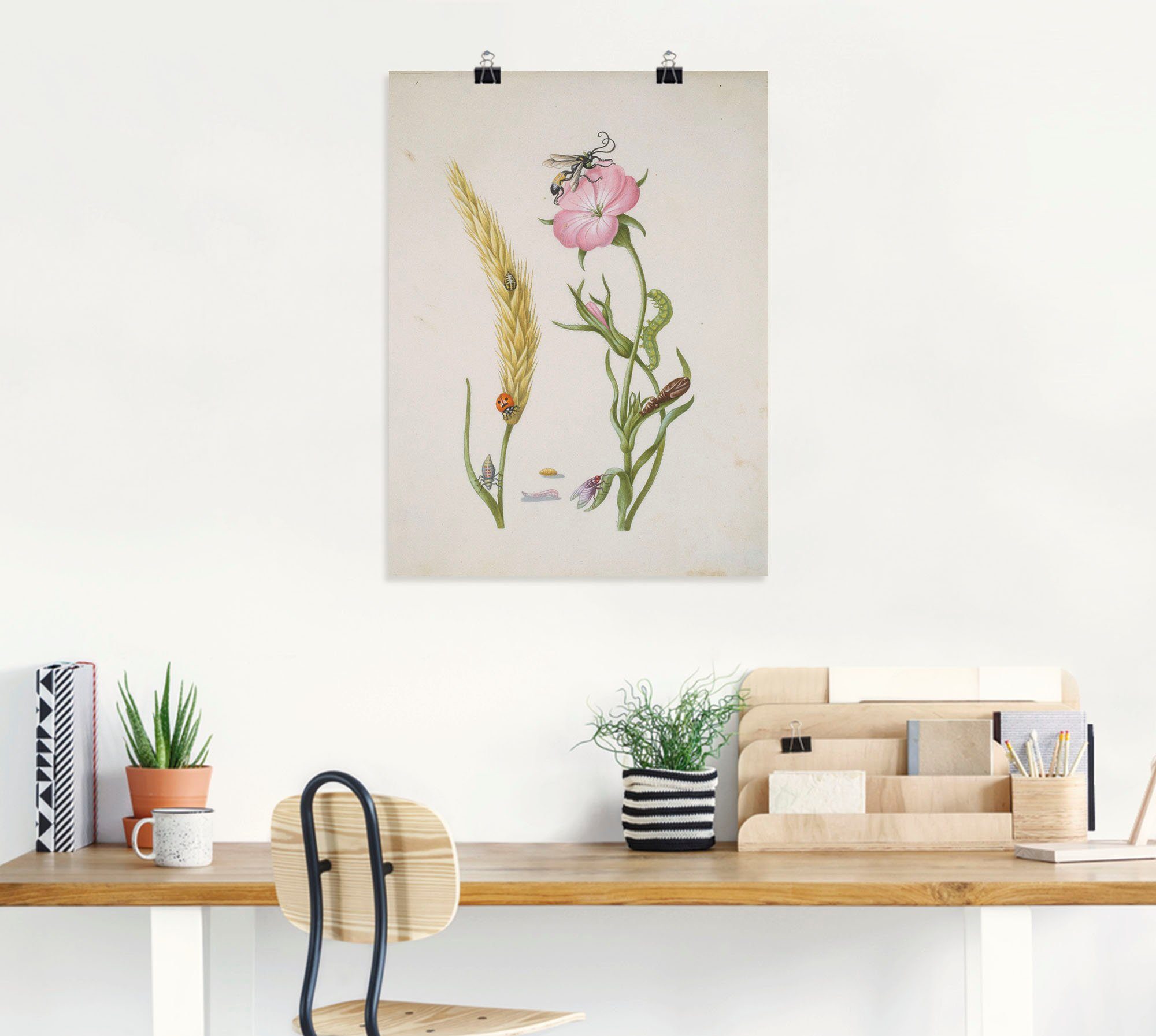 Artland Artprint Lieveheersbeestje korenaar larven en poppen. als artprint op linnen, muursticker of poster in verschillende maten