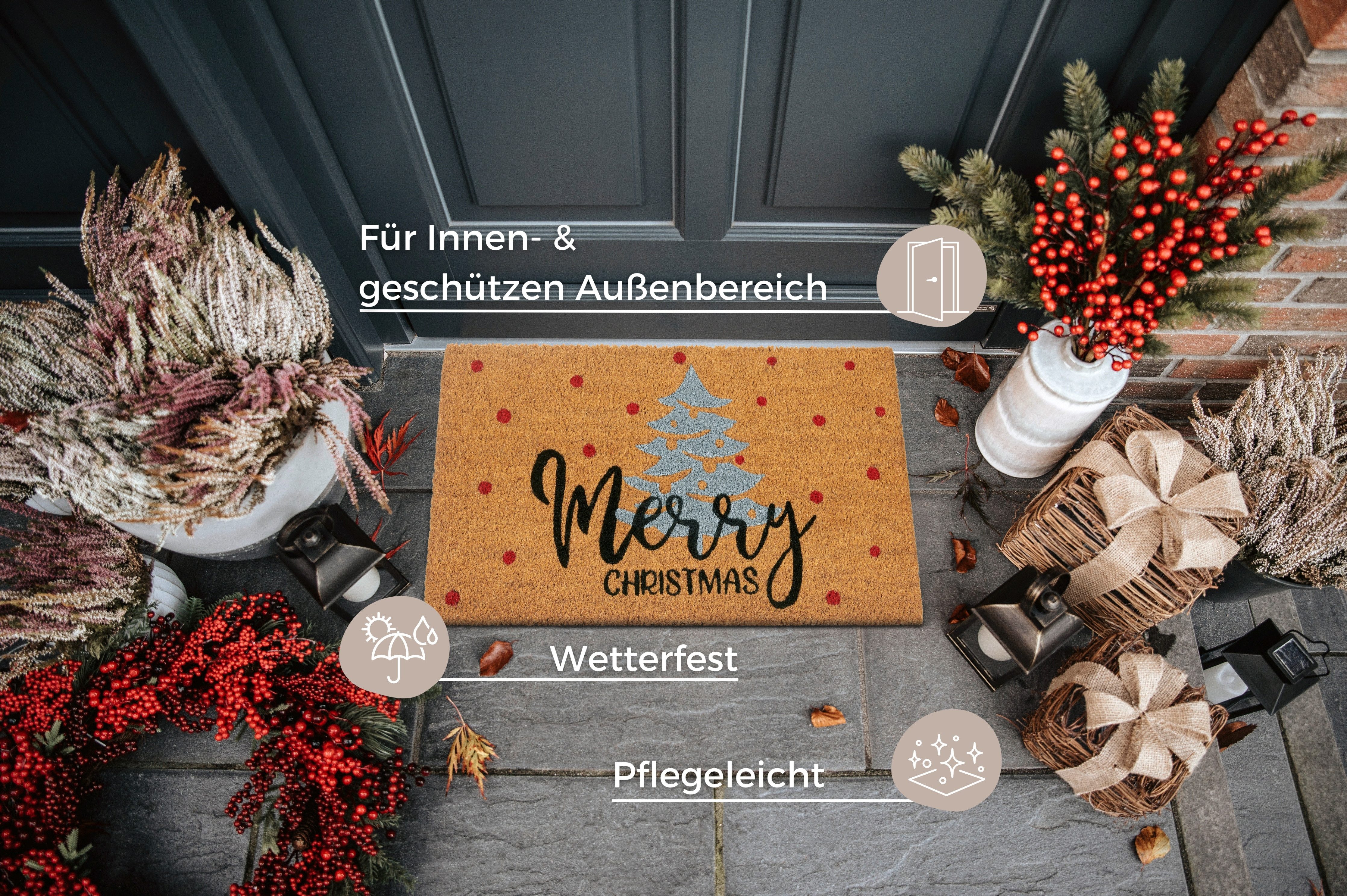 HANSE Home Mat Kokos Silver Christmas Gifts, deurmat Vuilafstotende mat, antislip, buiten, kerst, kokosmat, gang
