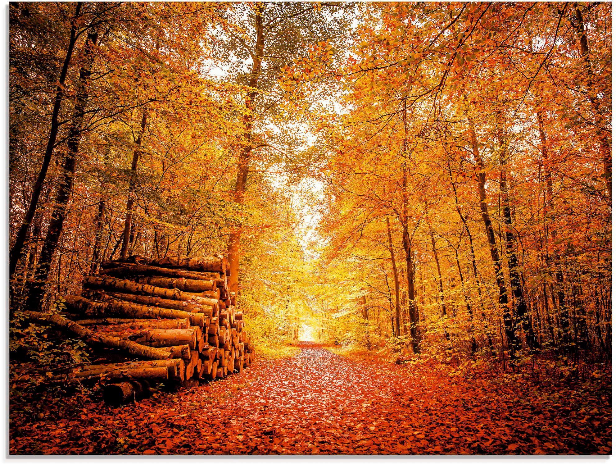 Artland Print op glas Herfstlandschap (1 stuk)