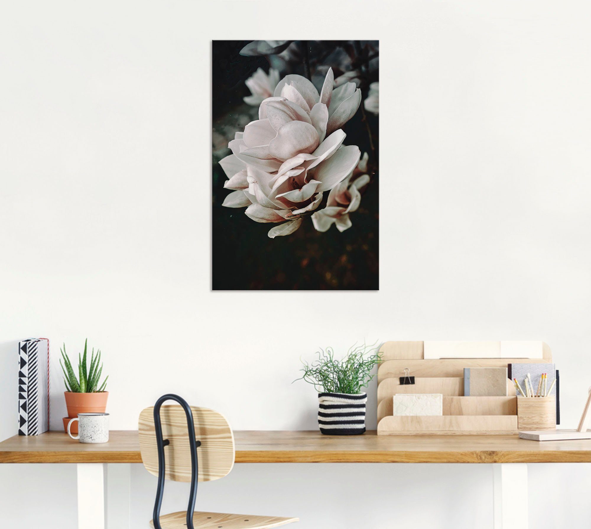 Artland Artprint Magnolia II als artprint van aluminium, artprint op linnen, muursticker of poster in verschillende maten