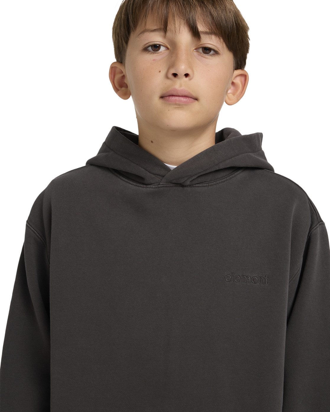 Element Hoodie Lowcase Pigment Po Y