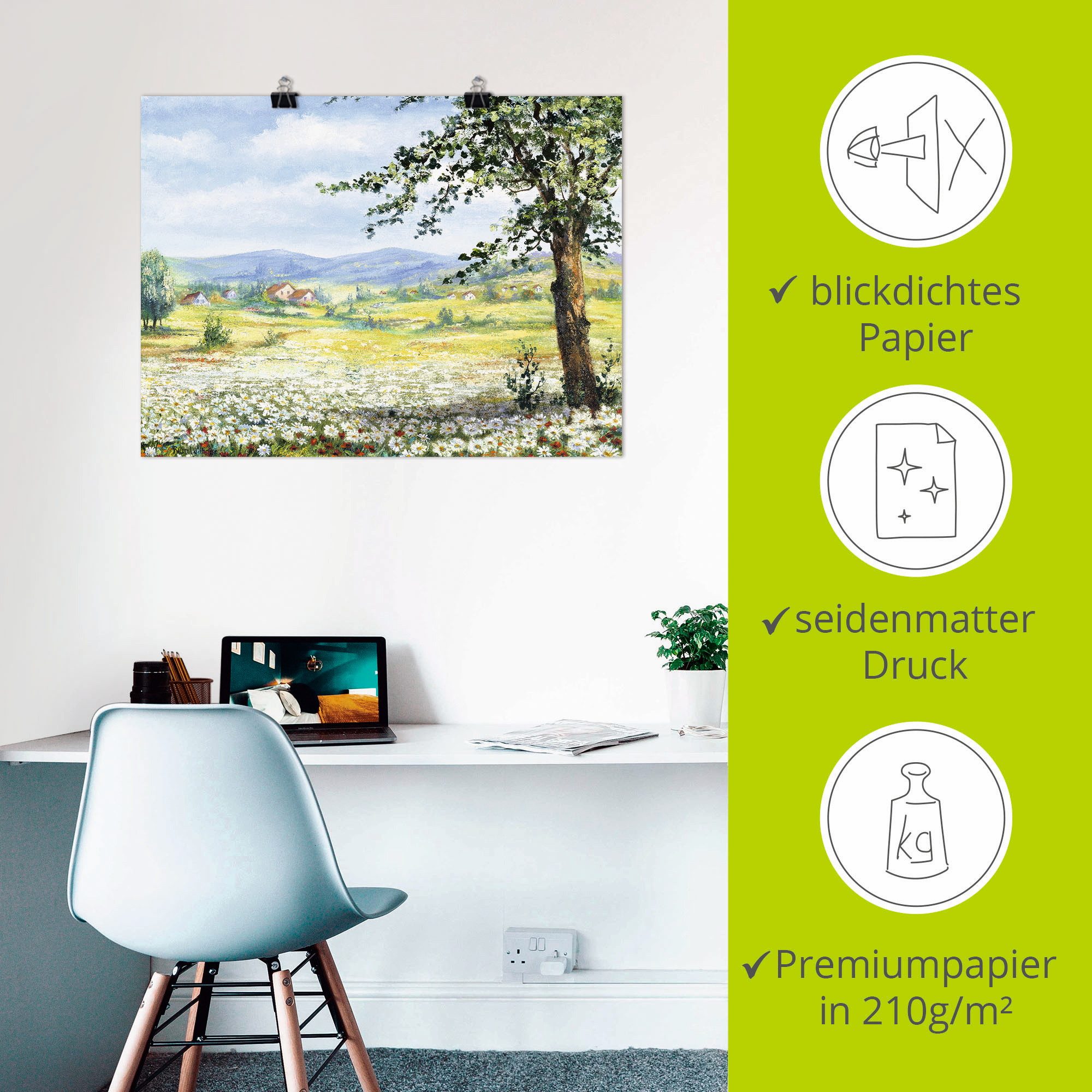 Artland Artprint Margrietenveld als poster, muursticker in verschillende maten