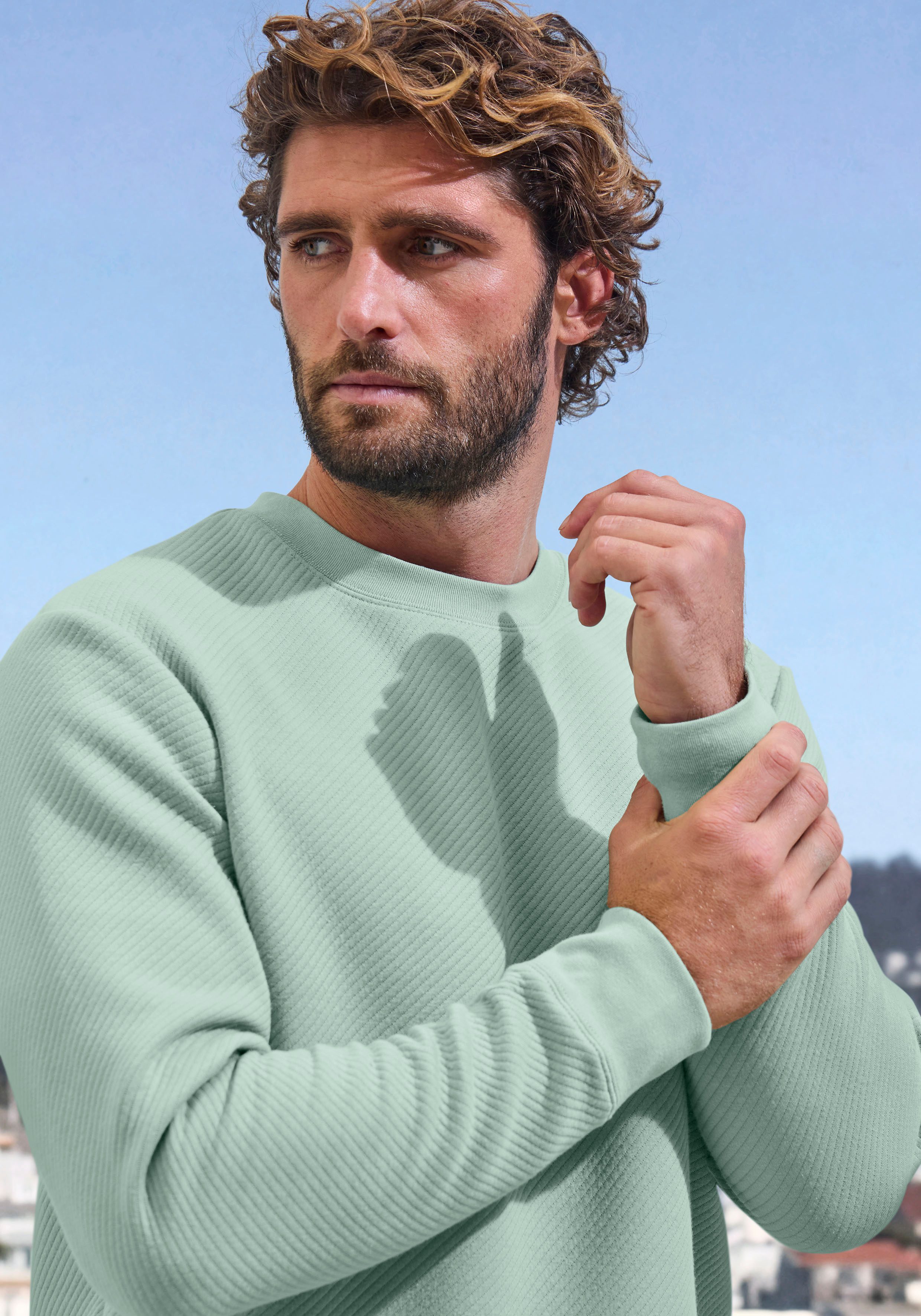 John Devin Sweatshirt Lange mouwen, sweatshirt met structuur, ronde hals, katoenmix
