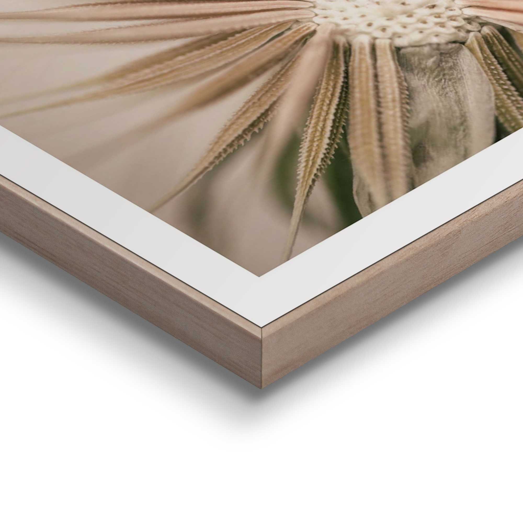 Reinders! Artprint Pluizenbol