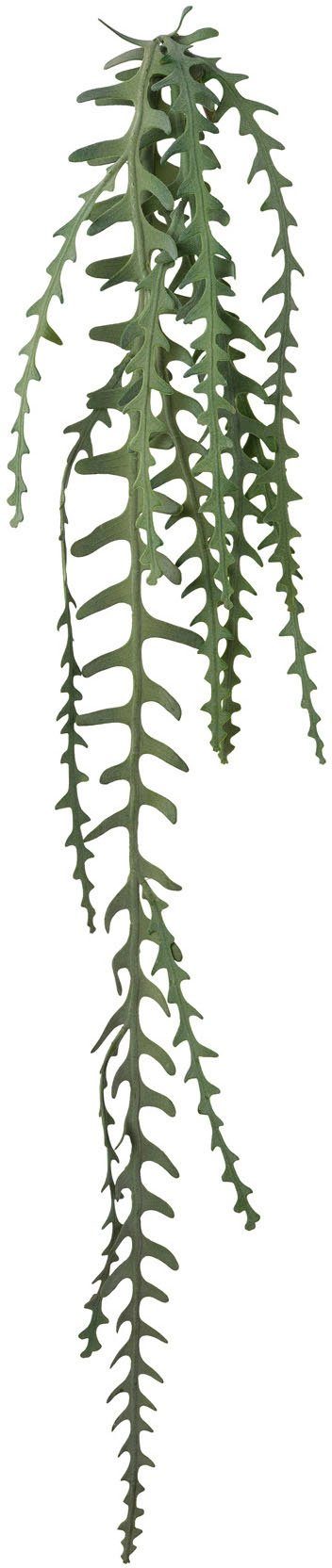 Creativ green Kunstguirlande Epiphyllumrank (1 stuk) kunstguirlandes maat 131 cm groen