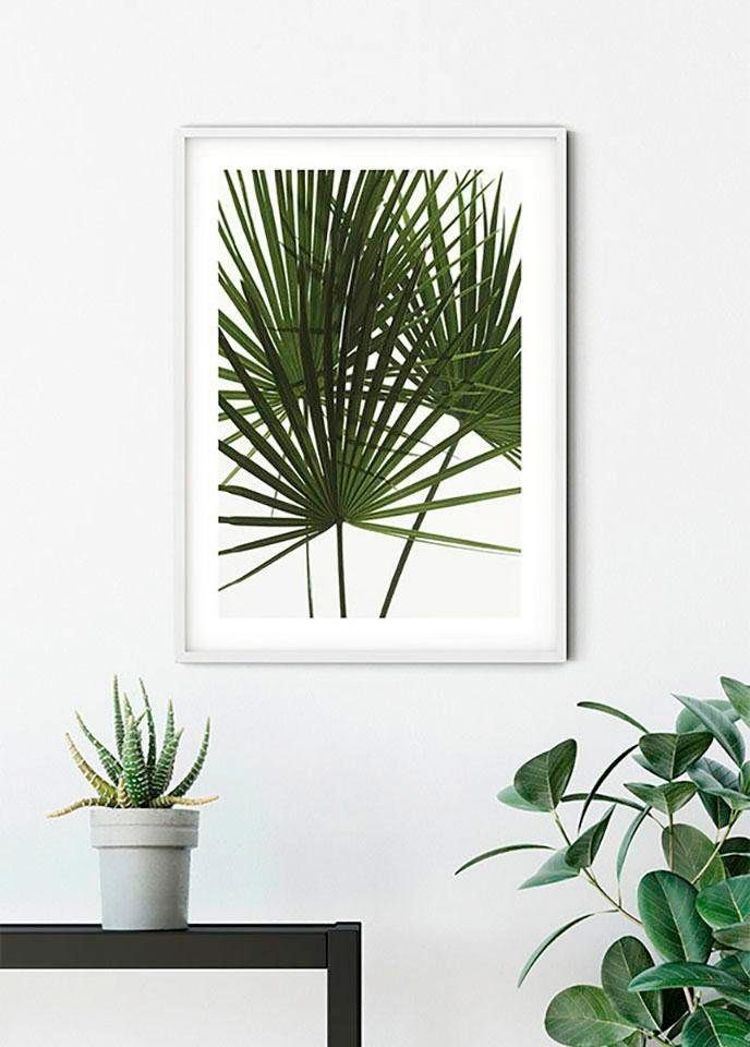 Komar Wanddecoratie Palmtree Leaves Wanddecoratie - zonder lijst (1 stuk)