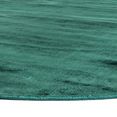 morgenland vloerkleed design-vloerkleed chester viscose groen