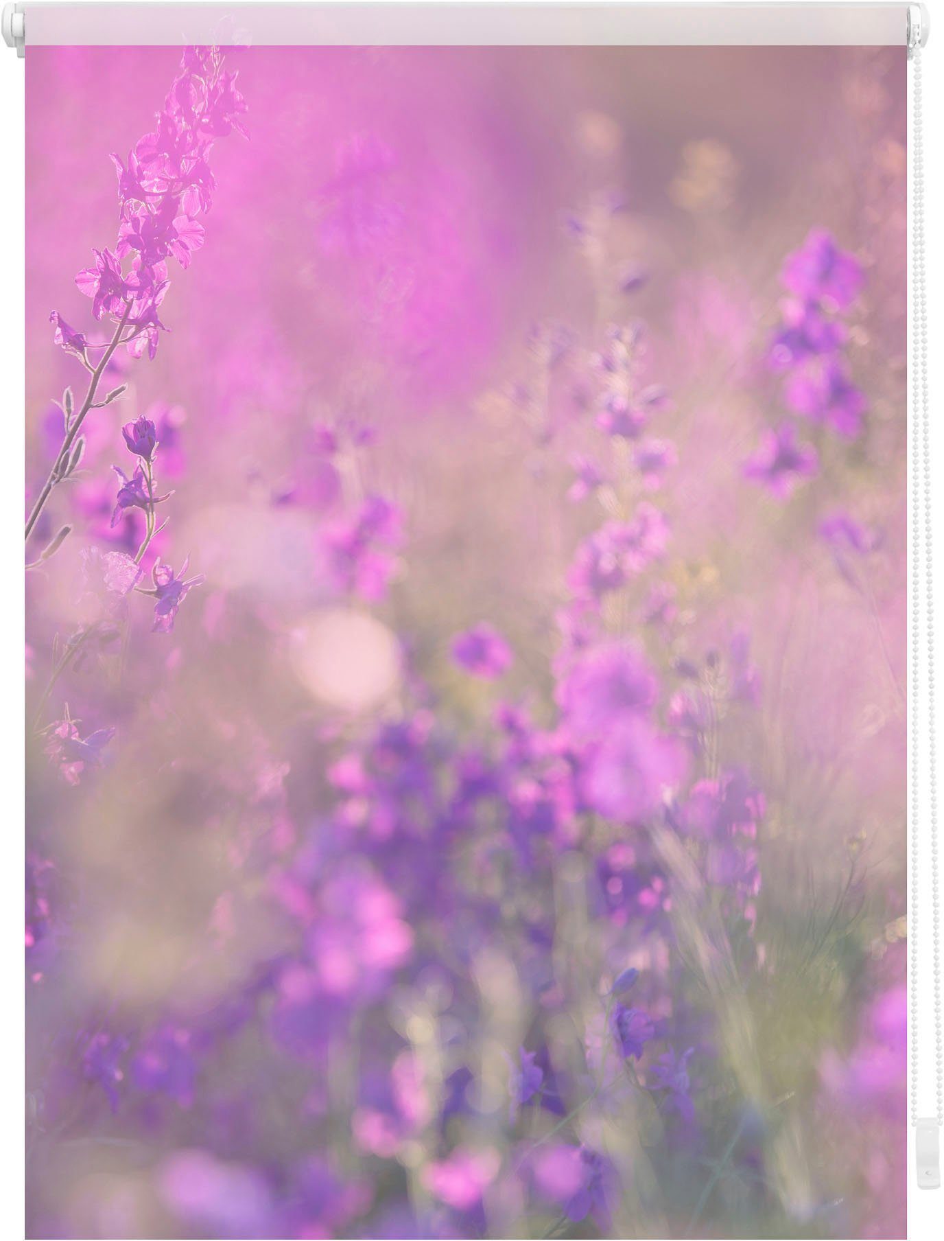 Klemmfix rolgordijn met bloemenweide Lichtblick Sonnenschutzsysteme fuchsia-violet