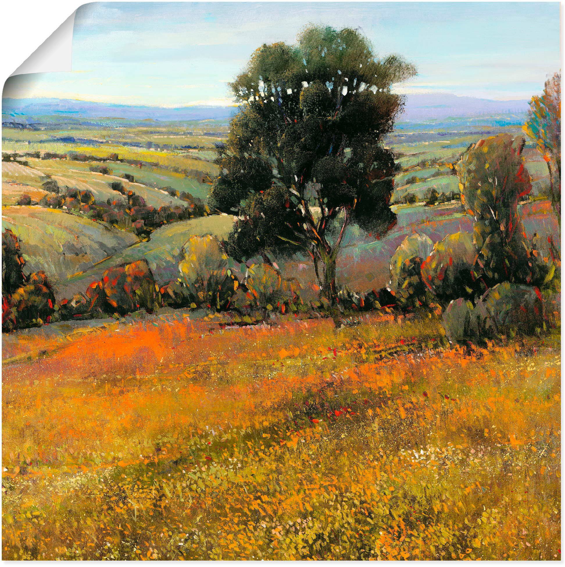 Artland Artprint Veld in de zomer als artprint van aluminium, artprint op linnen, muursticker of poster in verschillende maten