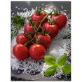 artland print op glas tomatentros op zout (1 stuk) rood