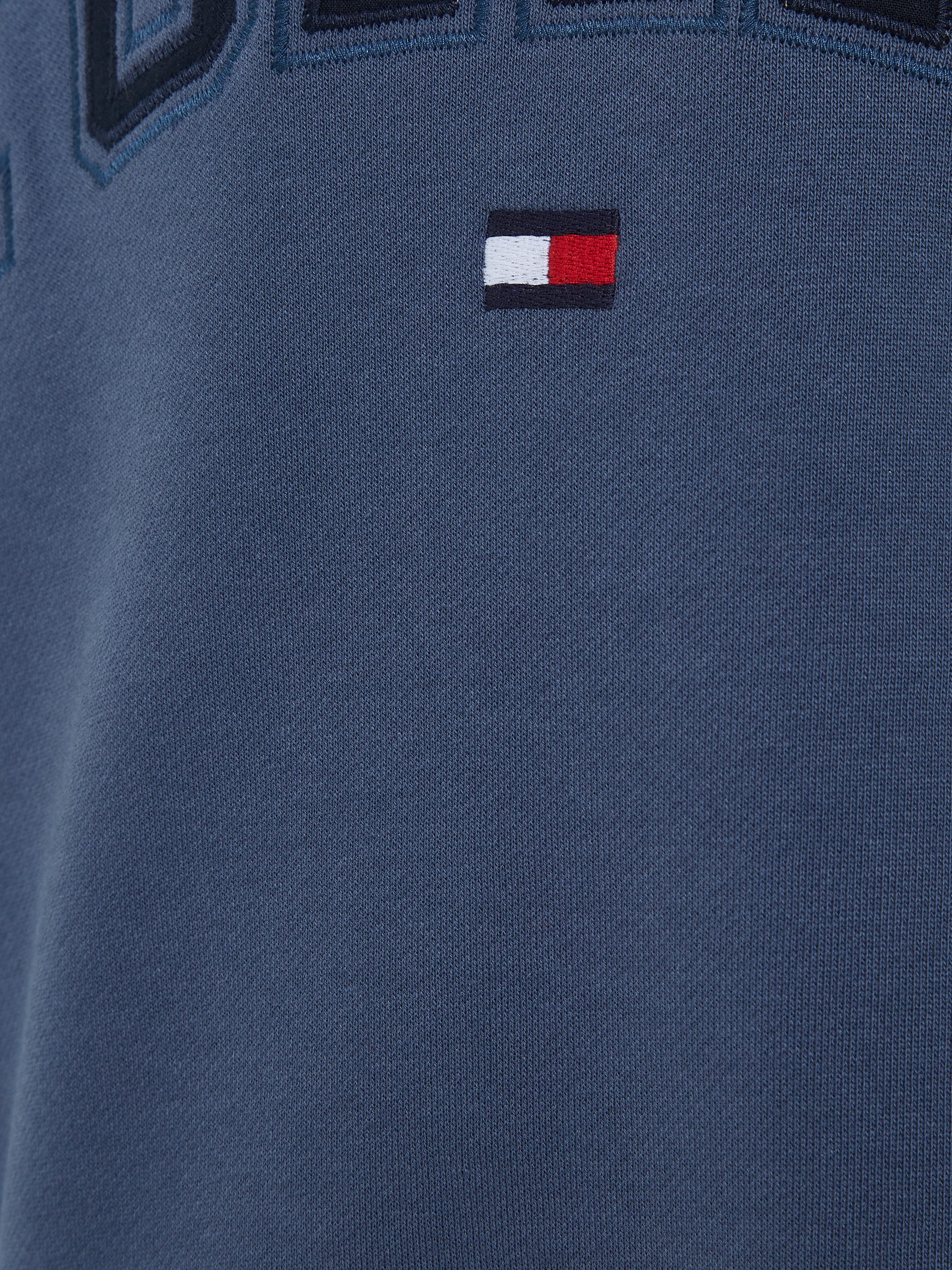Tommy Hilfiger Hoodie VARSITY EMBROIDERY HOODIE