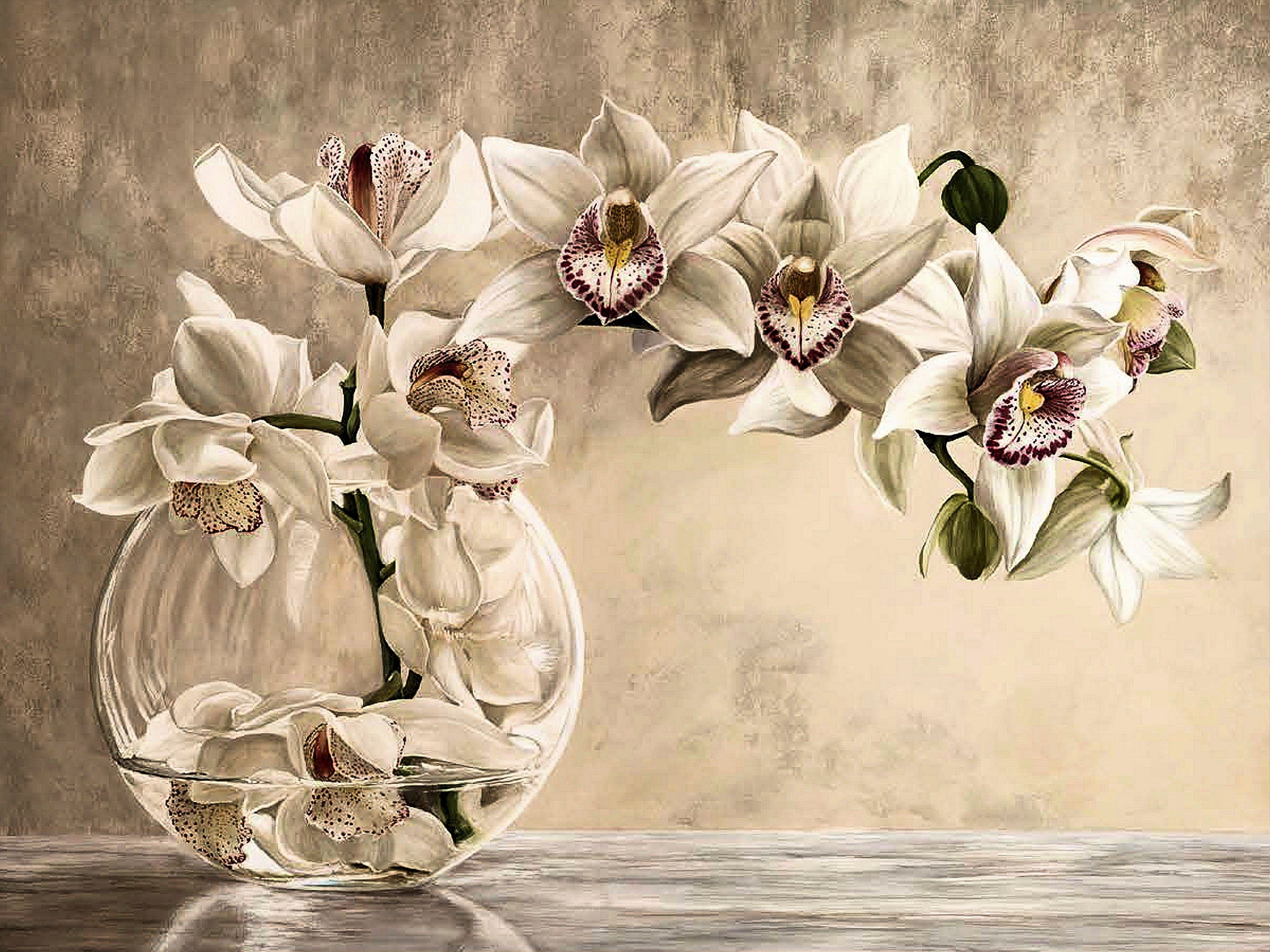 Home affaire Artprint REMY DELLAL/Orchideen Vase (1 stuk)