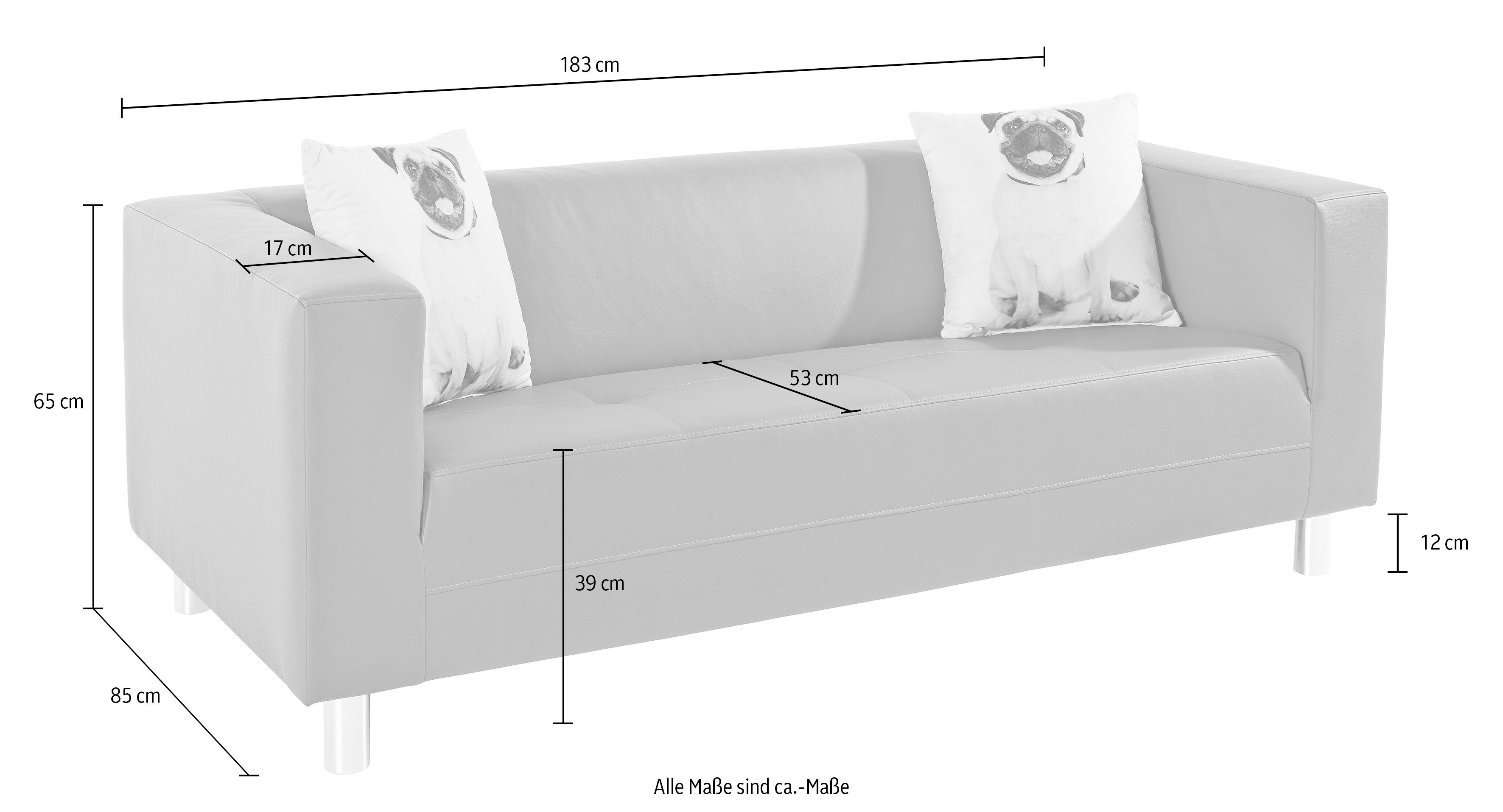 COLLECTION AB 3-zitsbank met 2 leuke hondensierkussens, vrij plaatsbaar