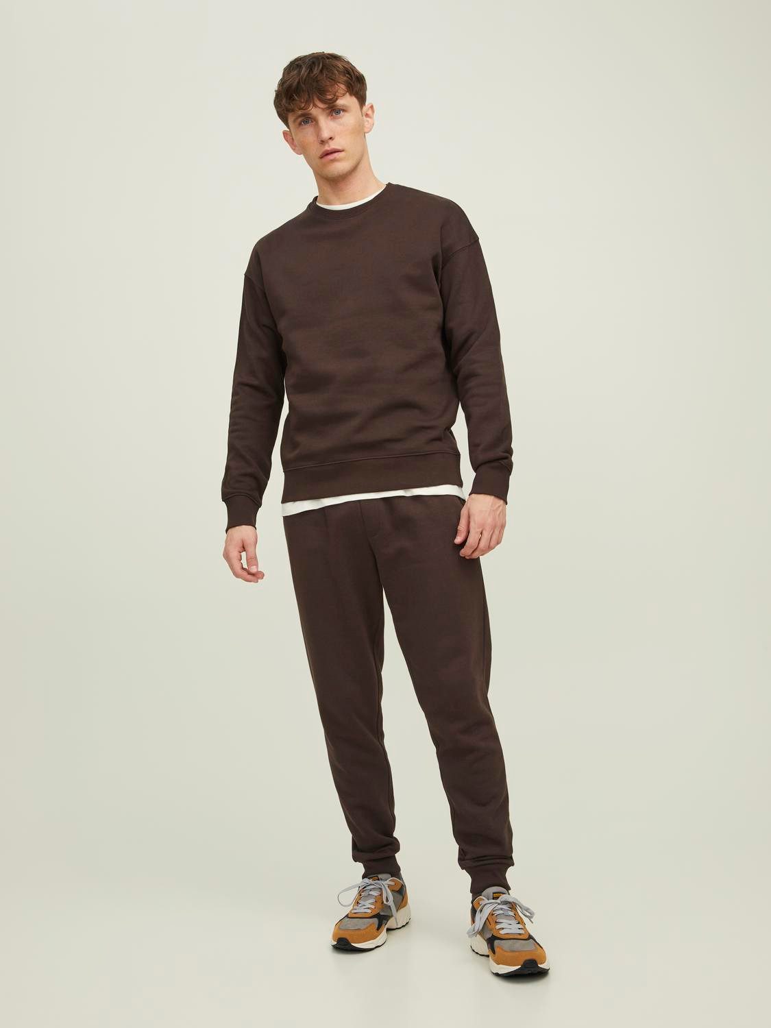 Jack & Jones Sweatshirt JJESTAR BASIC SWEAT CREW NECK NOOS