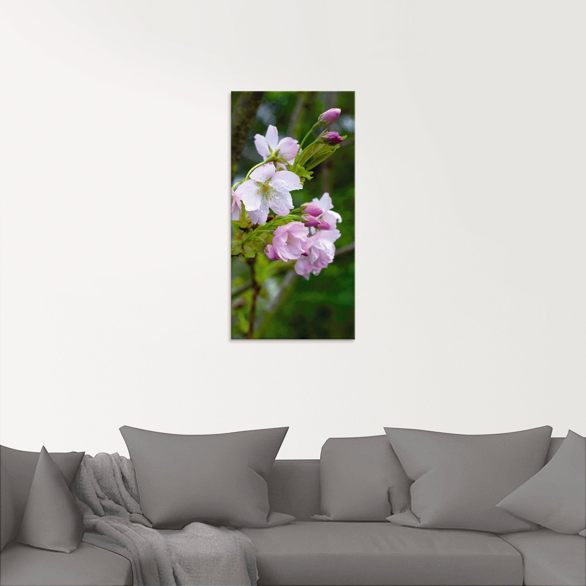 Artland Print op glas Tak van een bloeiende sierkers