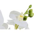 guido maria kretschmer homeliving kunstorchidee cosidena kunstplant, in een pot van keramiek wit
