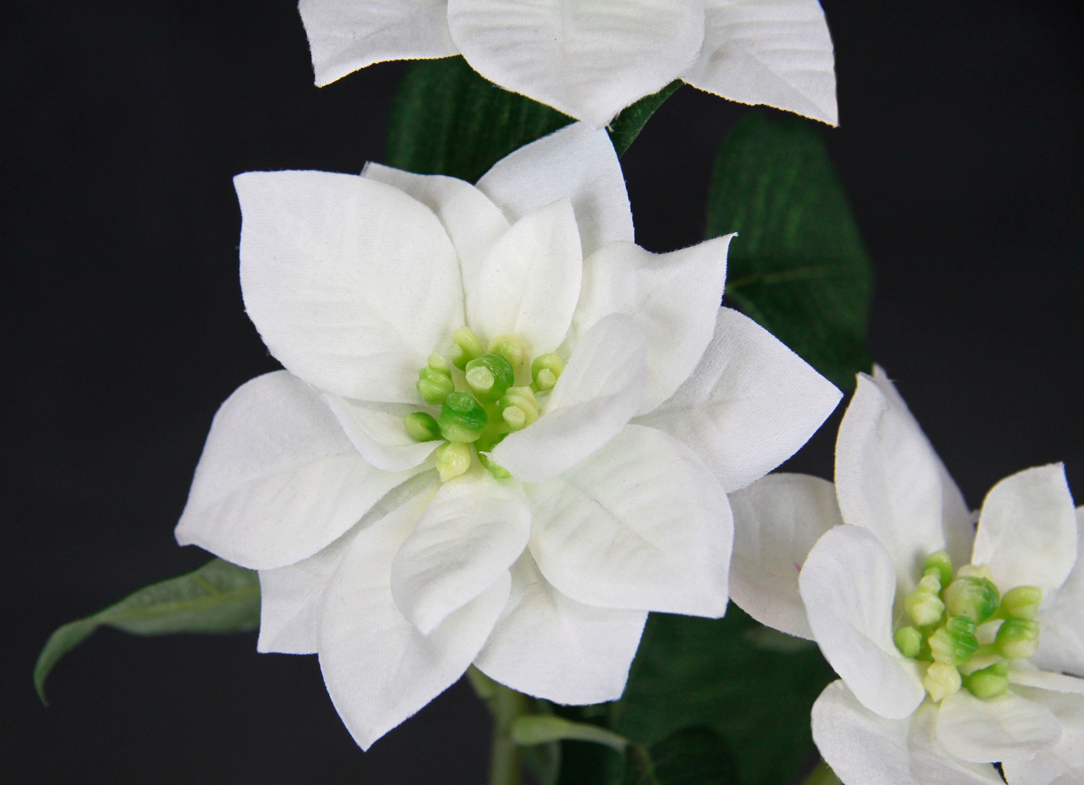 I.GE.A. Kunstbloem Kerstster Kunstmatige poinsettia tak, 5-delige set (5 stuks)