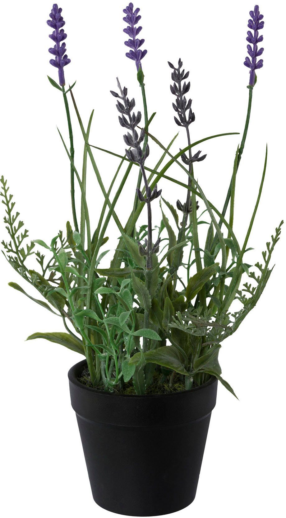 Creativ green Kunstplant Lavendel set van 3, in een plastic pot (3 stuks)