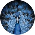 reinders! artprint pauw diermotief - vogel - close-up - modern (1 stuk) blauw