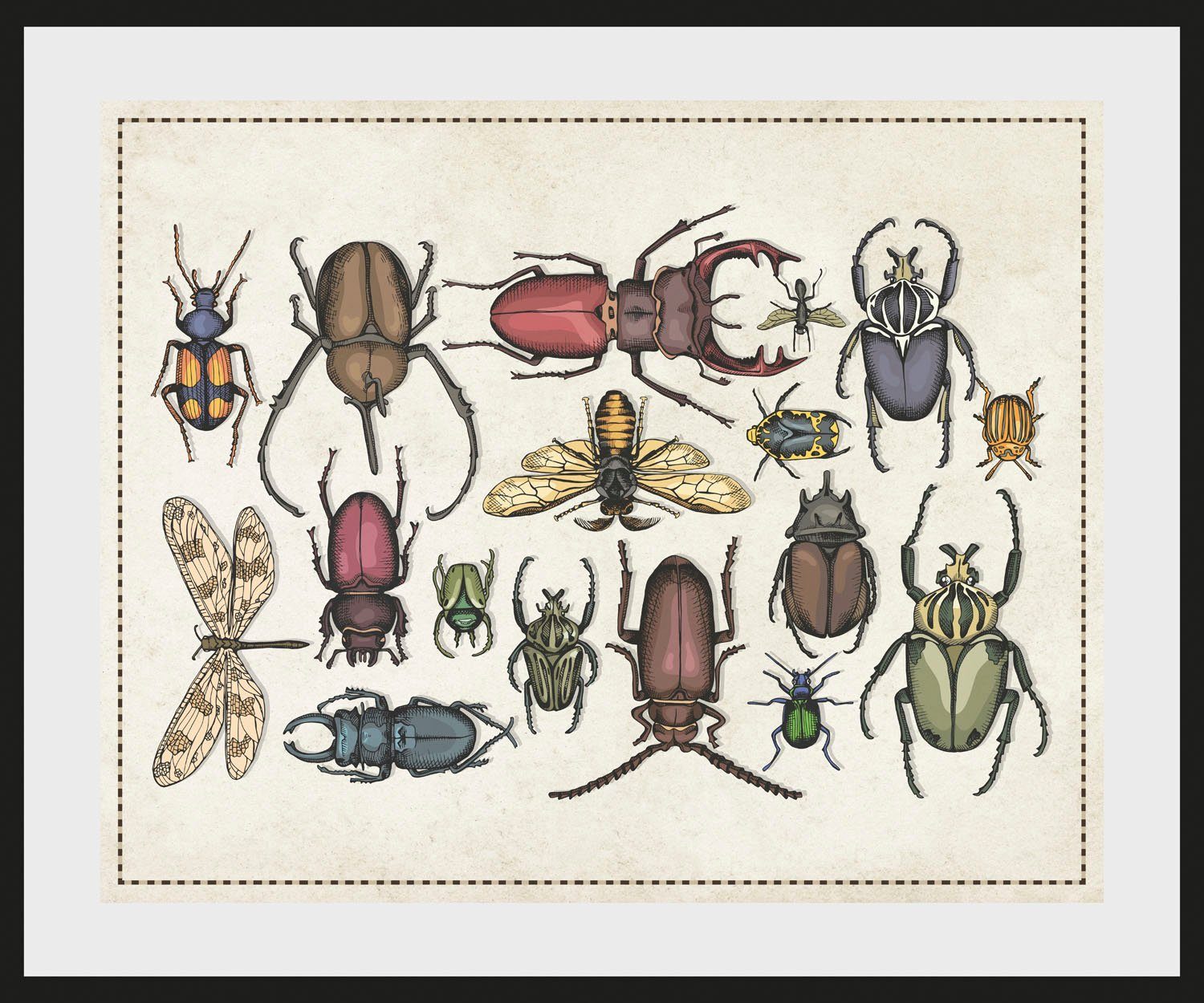 queence Wanddecoratie A Bug's Life 2 HD premium posterdruk incl. houten lijst (1 stuk)