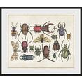 queence wanddecoratie a bug's life 2 (1 stuk) multicolor