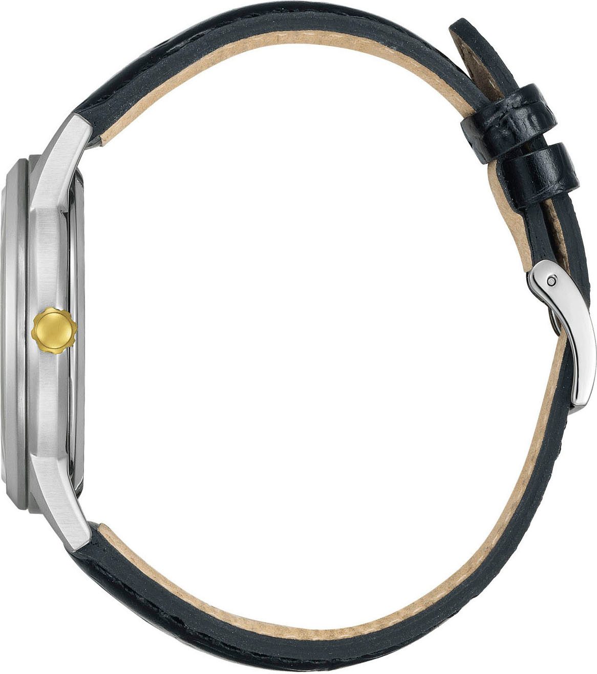 Citizen Solarhorloge Horloge, herenhorloge, leren band, analoog, dag