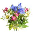 botanic-haus kunstbloem edelweiss-gentiaan-alpenroosboeket blauw