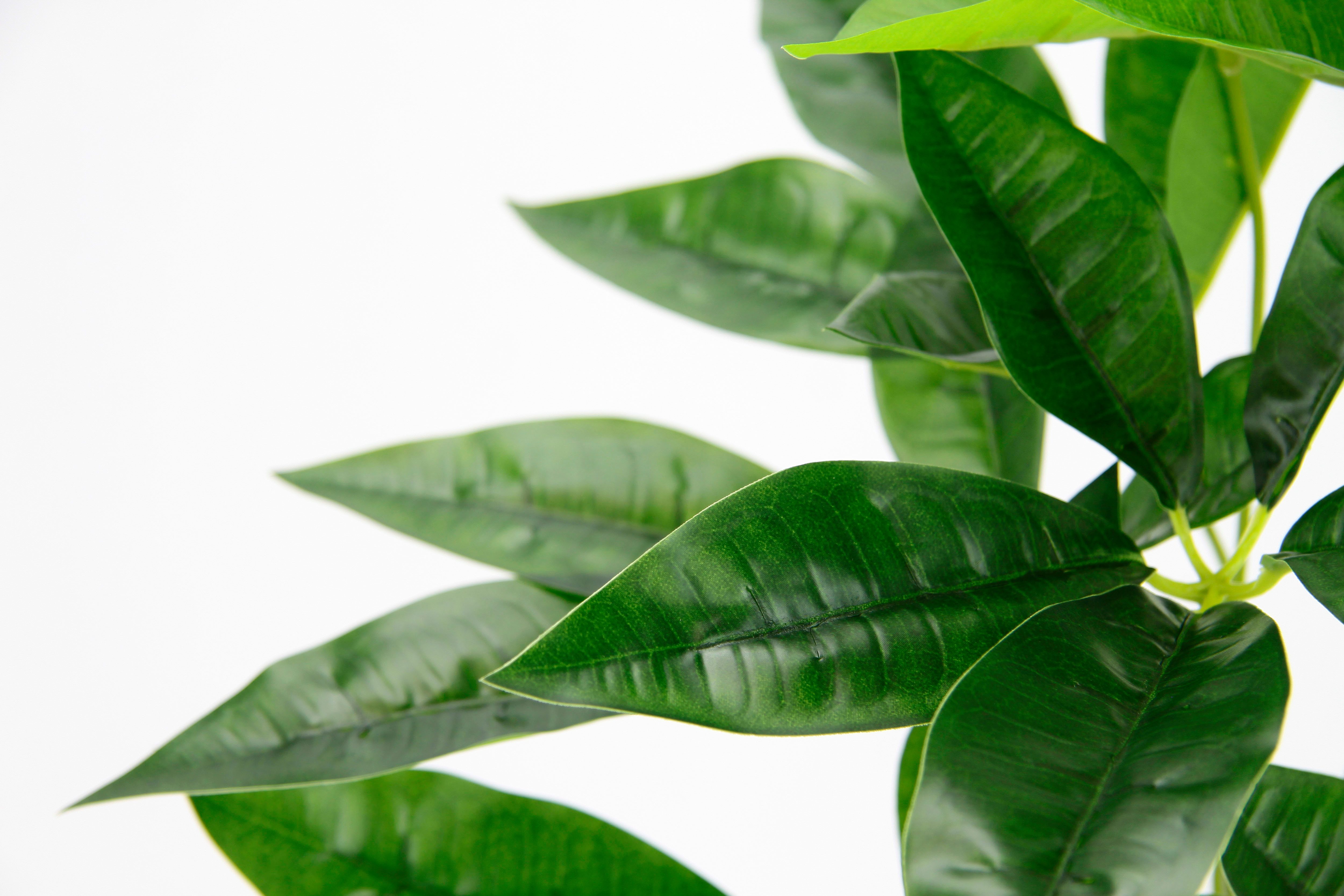 I.GE.A. Kunstplant Schefflera Met overpot kunstmatige zijdebloemen