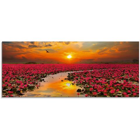Artland print op glas Sonnenschein blühende Lotusblume