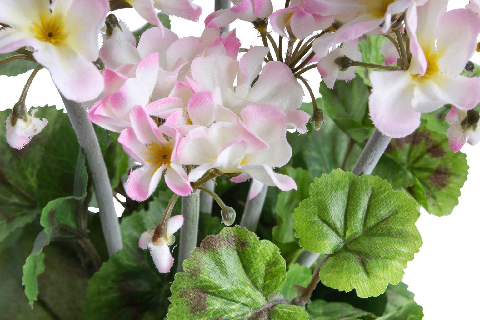 Botanic-Haus Kunst-potplanten Geraniums in een zwarte kunststof pot (1 stuk)