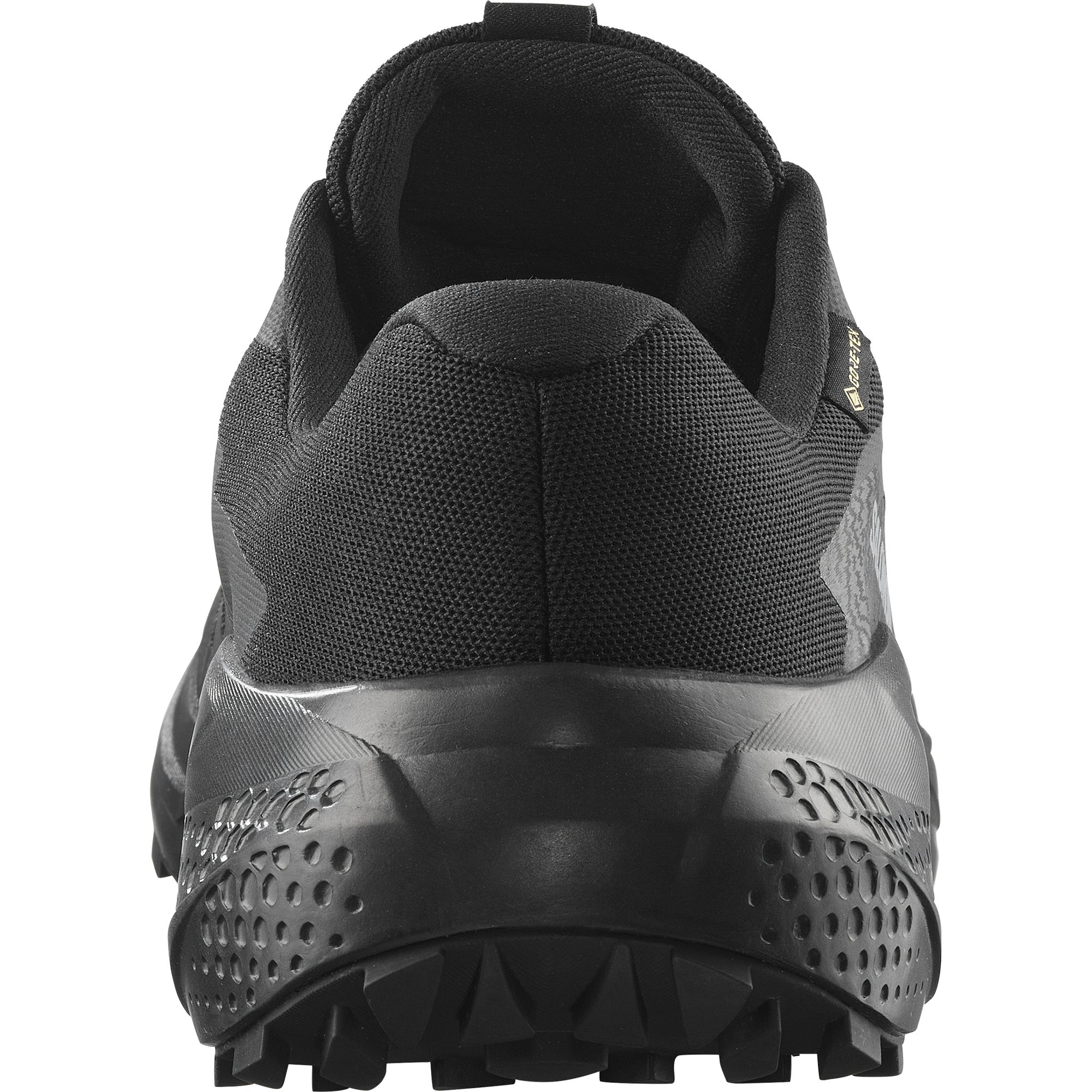 Salomon Trailrunningschoenen ALPHAGLIDE GORE-TEX